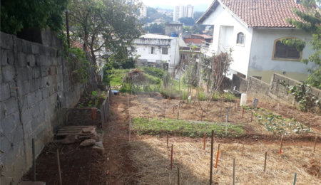 Terreno à venda em Água Fria, São Paulo, SP