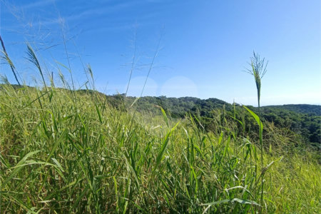 Terreno à venda em Tartaruga, Armação dos Búzios, RJ