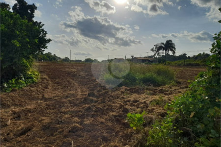 Área de Terra à venda em Nova Trieste, Jarinu, SP