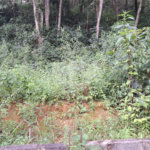 Terreno à venda em Terra Preta (terra Preta), Mairiporã, SP