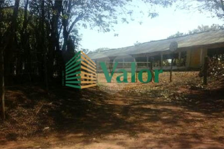 Sítio Estrada São Carlos Ribeirão - próximo São Carlos