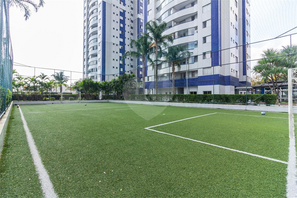 Apartamento à venda com 3 quartos, sendo 1 suíte, em Cambuci, São Paulo, SP