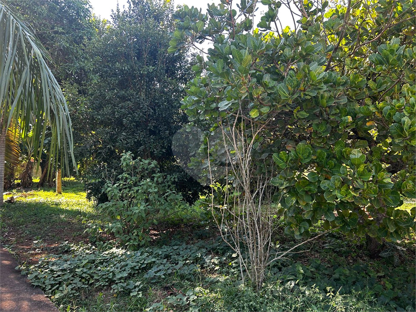 Casa à venda com 2 quartos, sendo 1 suíte,  em Chapadinha, Itapetininga, SP