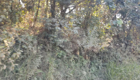 Terreno à venda em Luiz Fagundes, Mairiporã, SP
