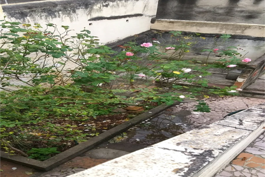 Sobrado à venda com 3 quartos em Santana, São Paulo, SP