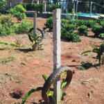 Chácara à venda em Campo Grande, Pilar do Sul, SP