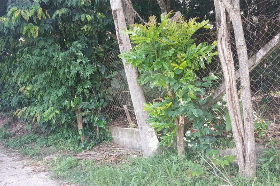 Terreno à venda em Serra da Cantareira, Mairiporã, SP