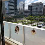 Apartamento à venda com 1 quarto em Brooklin, São Paulo, SP