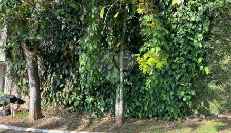 Terreno à venda no condomínio Jardim Vitória Régia, São Paulo - SP