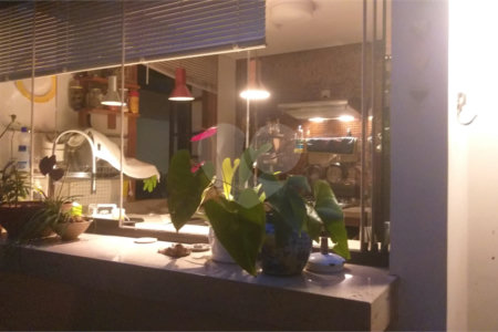 Casa à venda com 3 quartos, sendo 2 suítes, em Vila Mariana, São Paulo, SP