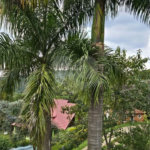 Casa à venda com 3 quartos, sendo 1 suíte, no condomínio Clube de Campo Fazenda Tabarã, Mairiporã - SP