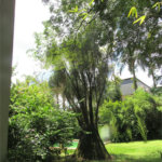 Casa à venda com 4 suítes em Jardim Guedala, São Paulo, SP