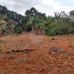 Terreno à venda em Vila Judite, Itapetininga, SP