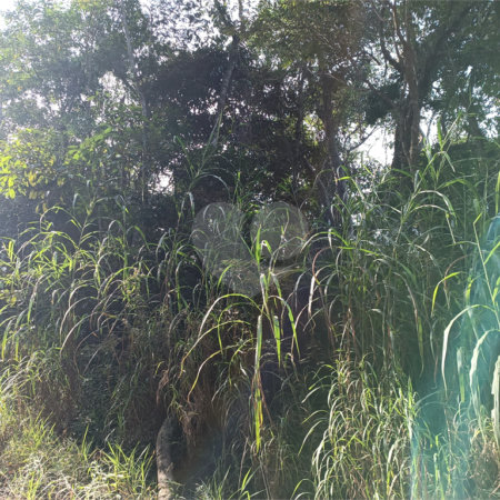 Terreno à venda em Caete (mailasqui), São Roque, SP