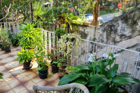 Casa à venda com 3 quartos em Jardim Bonfiglioli, São Paulo, SP