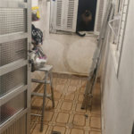 Casa Térrea à venda com 5 quartos, sendo 1 suíte, em Vila Mafra, São Paulo, SP