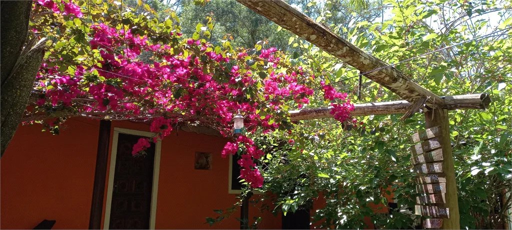 Sítio à venda com 3 quartos em Vila Darcy Penteado (mailasqui), São Roque, SP