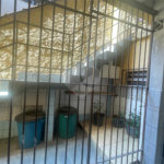 Casa Térrea à venda ou para alugar com 3 quartos em Casa Verde, São Paulo, SP