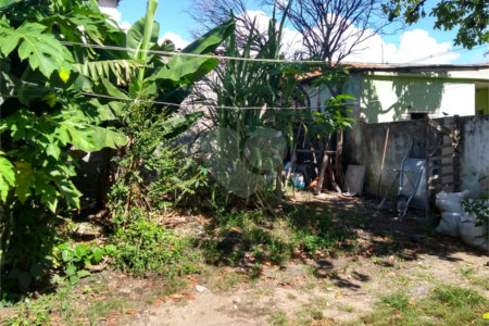 Terreno à venda em Vila Constança, São Paulo, SP