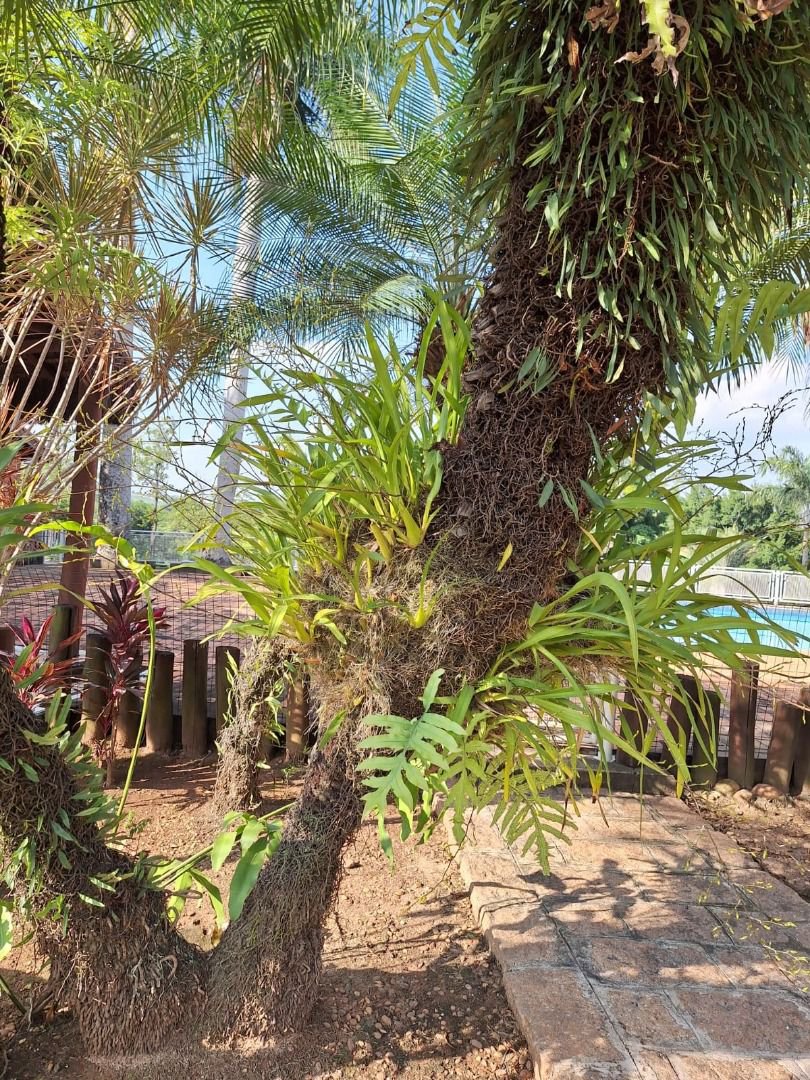 Rancho com 12 dormitórios à venda, 63000 m² por R$ 7.500.000,00 - Condomínio Haras Paineiras - Salto/SP