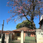 Terreno à venda com 1 quarto no Brasilândia, São Paulo, SP