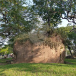 Sítio à venda com 4 quartos, sendo 2 suítes,  em Pimenta, Indaiatuba, SP