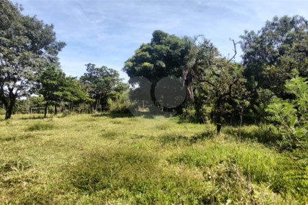 Terreno à venda em Campestre, Piracicaba, SP