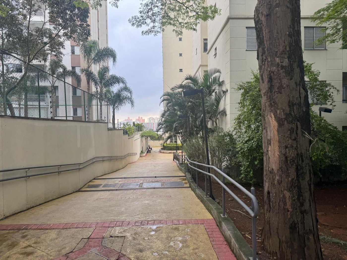 Apartamento para alugar com 3 quartos em Jardim Esmeralda, São Paulo, SP