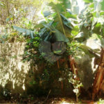 Sobrado à venda com 3 quartos, sendo 1 suíte, em Brooklin Velho, São Paulo, SP