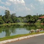Casa Térrea à venda ou para alugar com 2 quartos em Colinas do Mosteiro de Itaici, Indaiatuba, SP