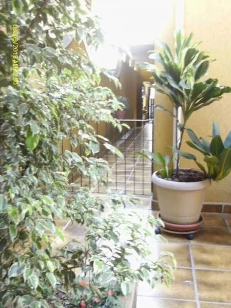 Sobrado à venda com 4 quartos, sendo 2 suítes, em Jardim Peri Peri, São Paulo, SP