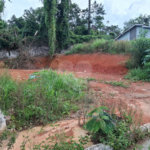Terreno à venda em Vila Albertina, São Paulo, SP