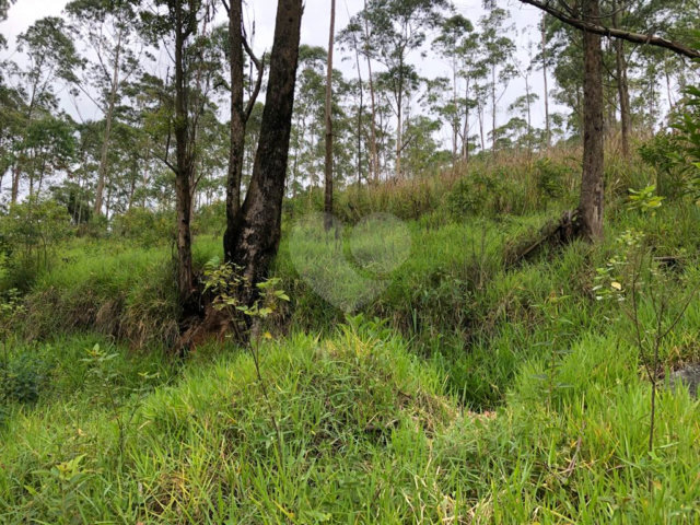 Terreno à venda em Serra da Cantareira, Mairiporã, SP
