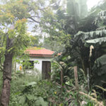 Casa à venda com 3 quartos, sendo 1 suíte, em Tremembé, São Paulo, SP