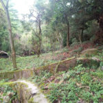 Terreno à venda no condomínio Associação Reserva das Hortênsias, Mairiporã - SP