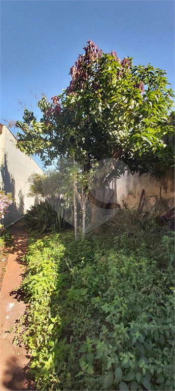 Casa térrea no Centro