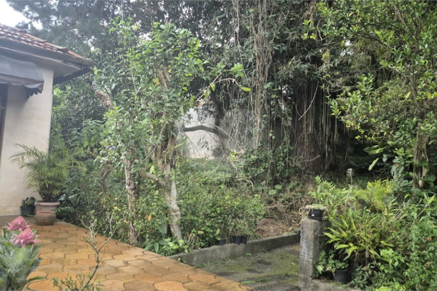Terreno à venda ou para alugar em Horto, São Paulo, SP