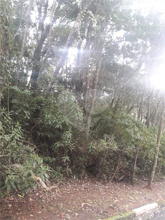 Terreno à venda em Suasalito, Mairiporã, SP