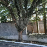 Casa Térrea à venda com 3 quartos, sendo 1 suíte, em Jardim Prudência, São Paulo, SP