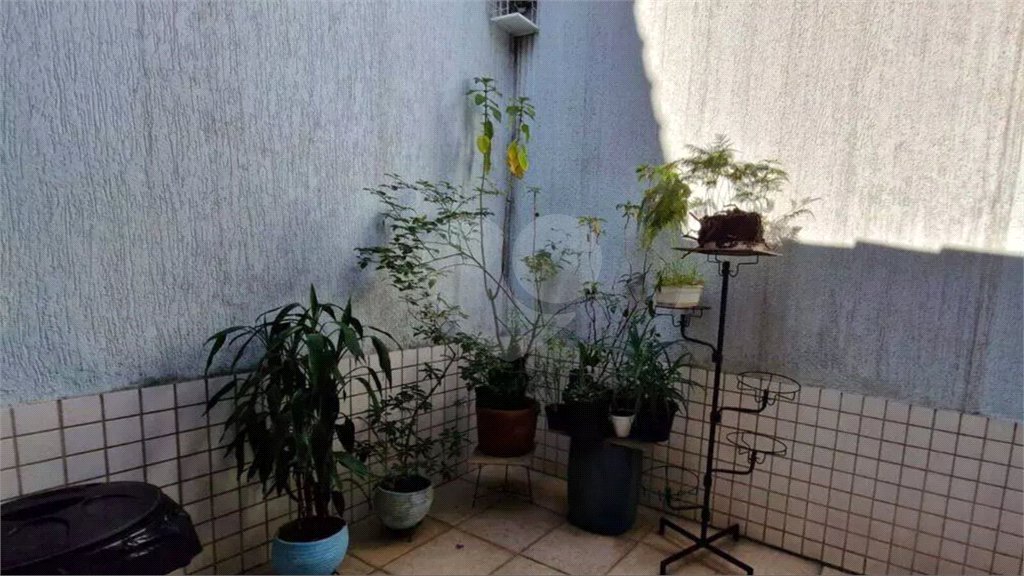 Casa à venda com 3 quartos, sendo 1 suíte, em Vila Rosalia, Guarulhos, SP