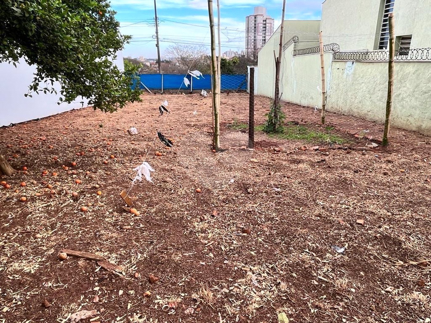 Oportunidade Única no Jardim Cardinalli – Terreno em Localização Privilegiada.