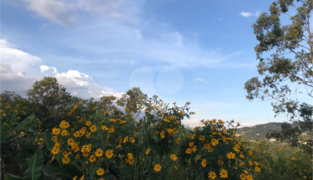 Terreno à venda em Serra da Cantareira, Mairiporã, SP