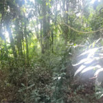 Terreno à venda em Mantiqueira, Mairiporã, SP