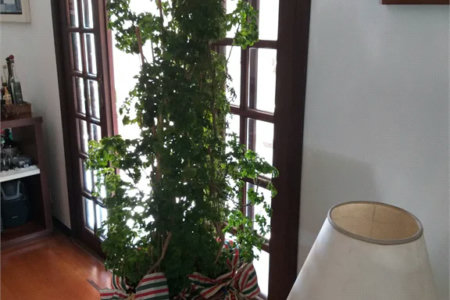 Casa à venda com 4 quartos, sendo 2 suítes, no condomínio Vila Panamericana, São Paulo - SP