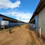Chácara à venda com 3 quartos, sendo 1 suíte, em Cercadinho, Alambari, SP