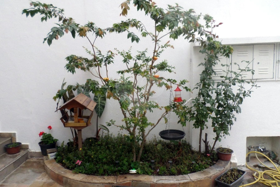 Sobrado à venda com 3 quartos, sendo 1 suíte, em Imirim, São Paulo, SP