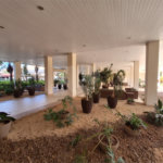 Apartamento à venda com 2 quartos, sendo 1 suíte, em Tucuruvi, São Paulo, SP