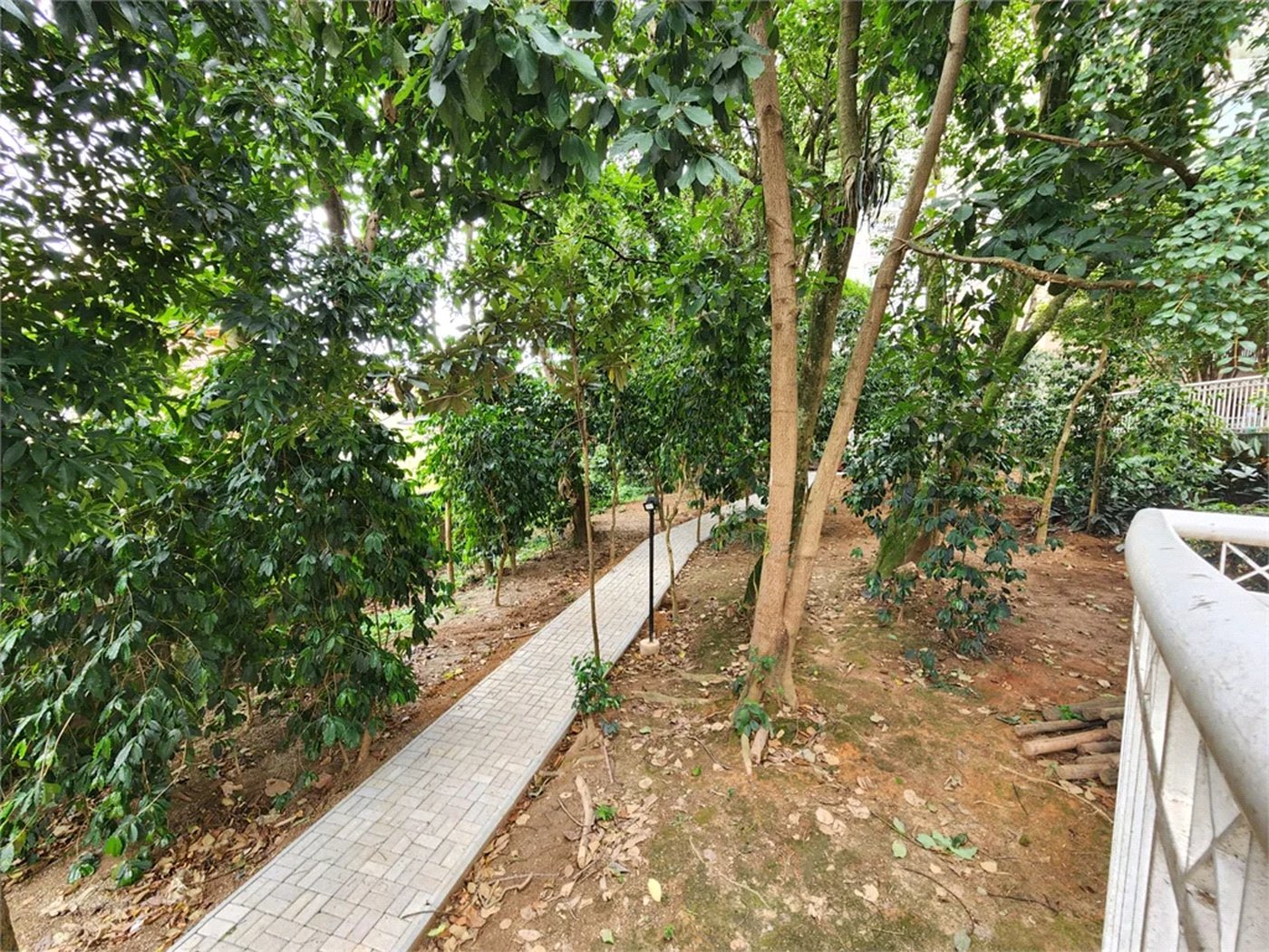 Apartamento à venda com 3 quartos, sendo 2 suítes,  em Jardim Arpoador, São Paulo, SP