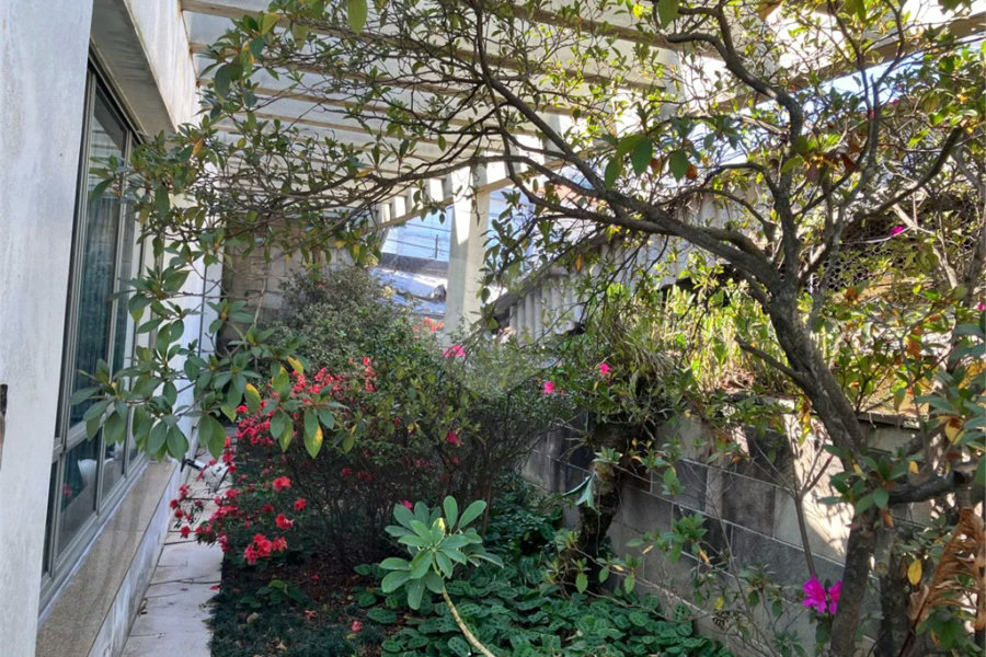Casa à venda com 5 quartos, sendo 2 suítes,  em Vila Maria, São Paulo, SP