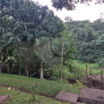 Apartamento para alugar com 2 quartos em Jardim da Glória, Cotia, SP